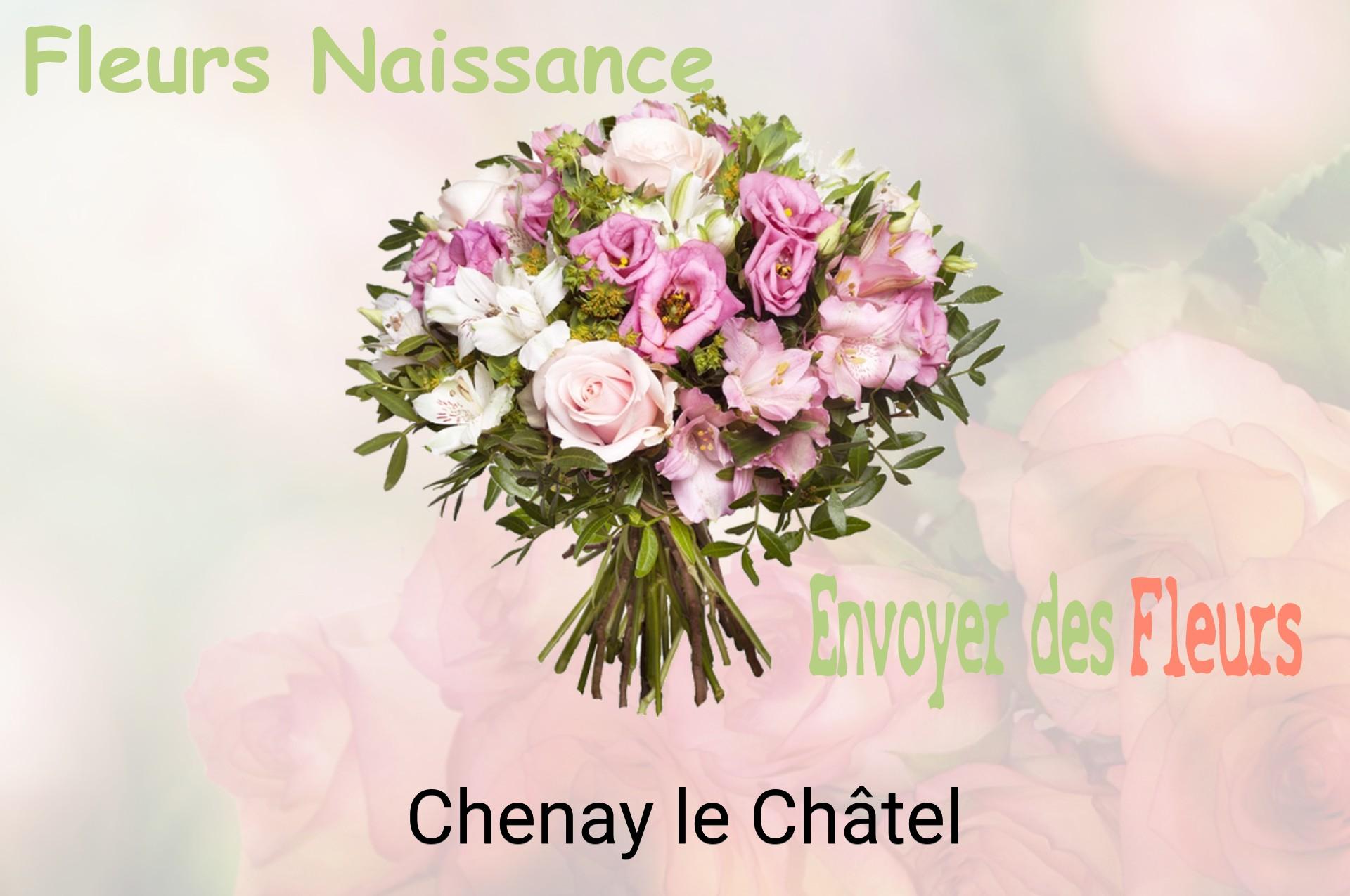 Bouquet de fleurs de naissance livré à Chenay-le-Châtel